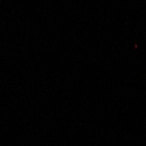 Meet your Posher, Juan